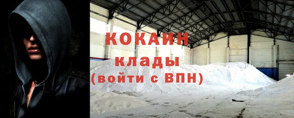 дурь Инсар