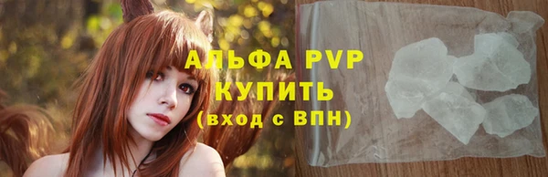 винт Инта