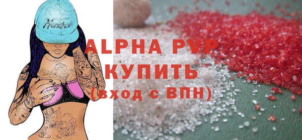 винт Инта