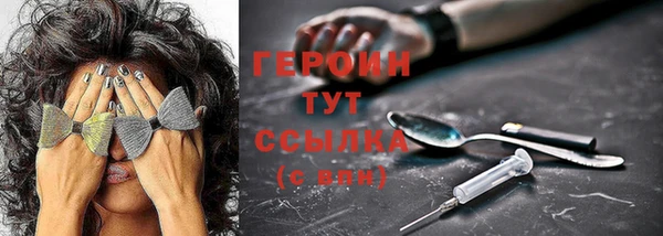 винт Инта