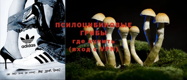 а пвп мука Иннополис